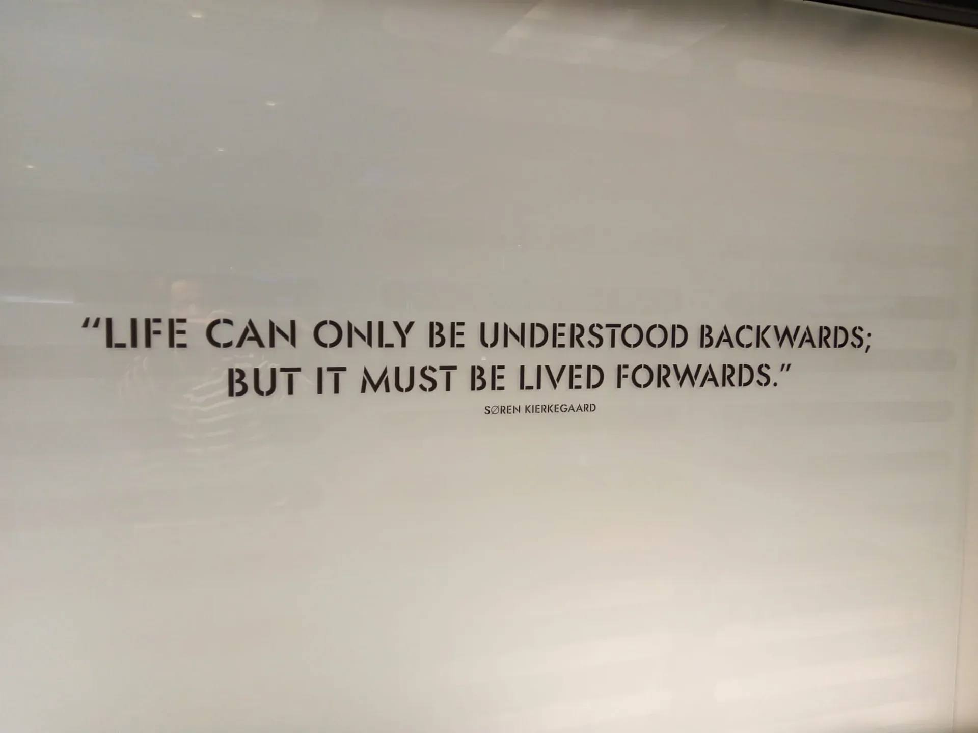 BACKWARDS FORWARDS